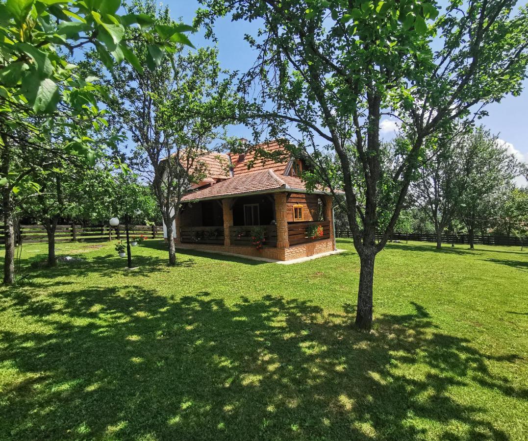 Seosko Domacinstvo Bondzulic Apartment Uzice Luaran gambar
