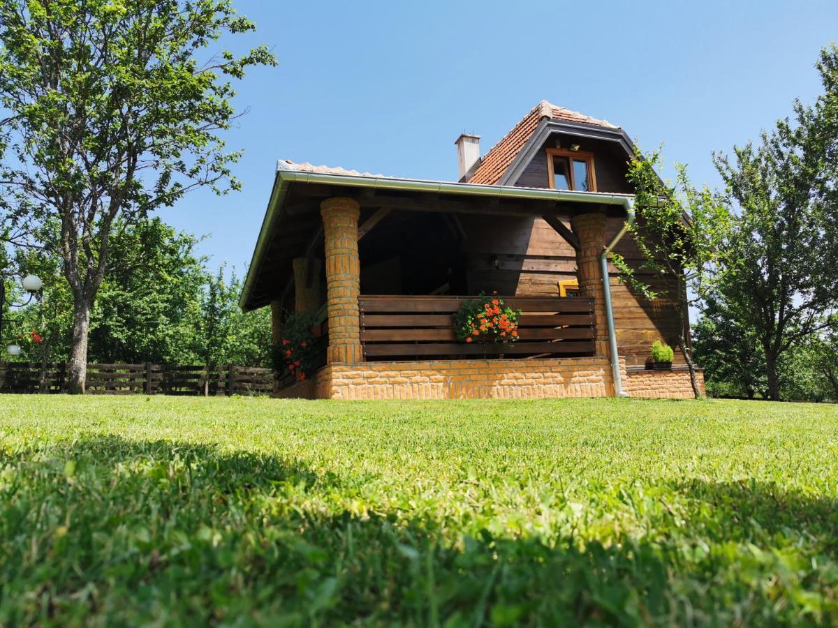 Seosko Domacinstvo Bondzulic Apartment Uzice Luaran gambar