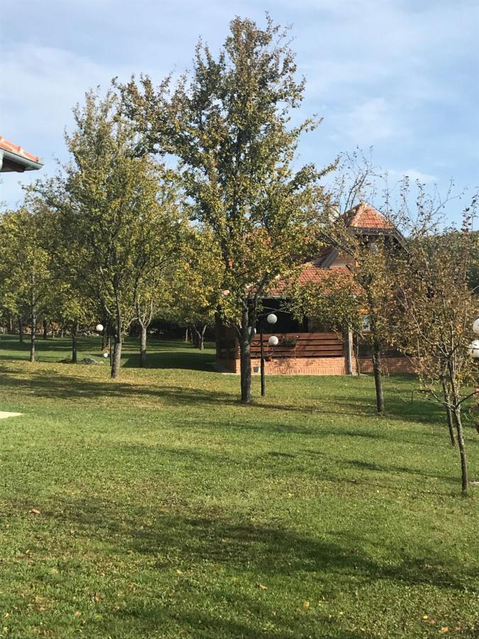 Seosko Domacinstvo Bondzulic Apartment Uzice Luaran gambar
