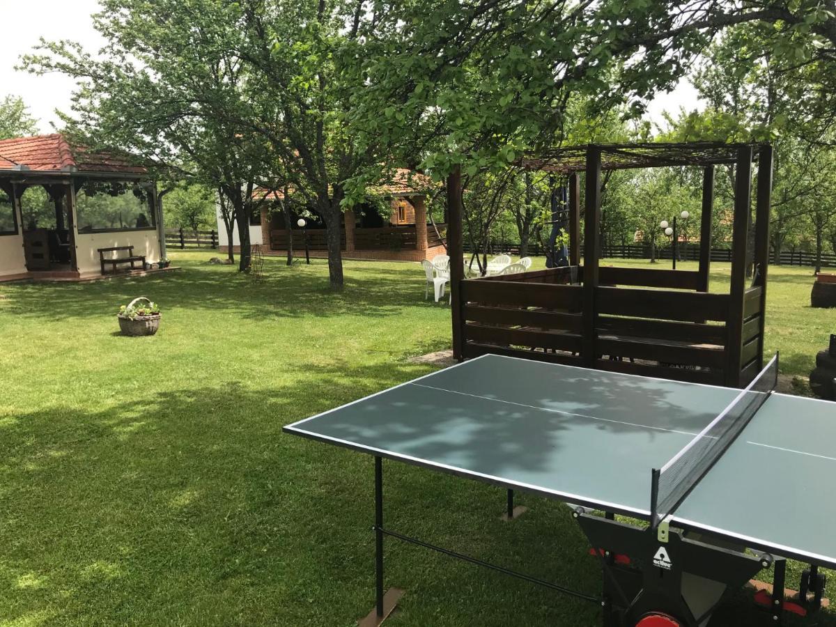 Seosko Domacinstvo Bondzulic Apartment Uzice Luaran gambar